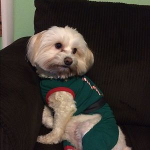 Meet your Posher, Ofelia